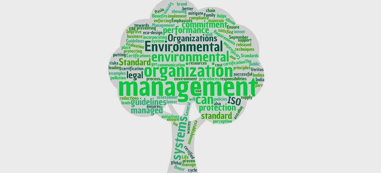 Career prospects in Environmental Management